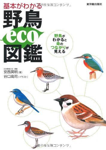 基本がわかる野鳥eco図鑑: 野鳥がわかると命のつながりが見える 【公式