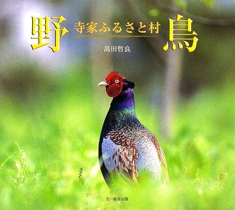 野鳥寺家ふるさと村
