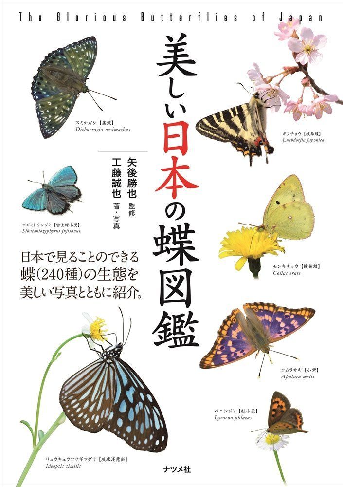 美しい日本の蝶図鑑 9,026円