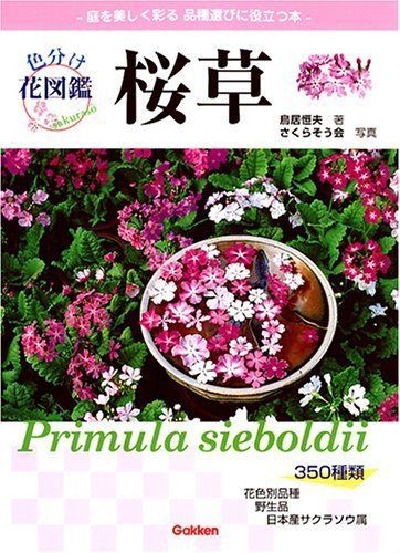 桜草: 名前の由来と品種がわかる (色分け花図鑑)