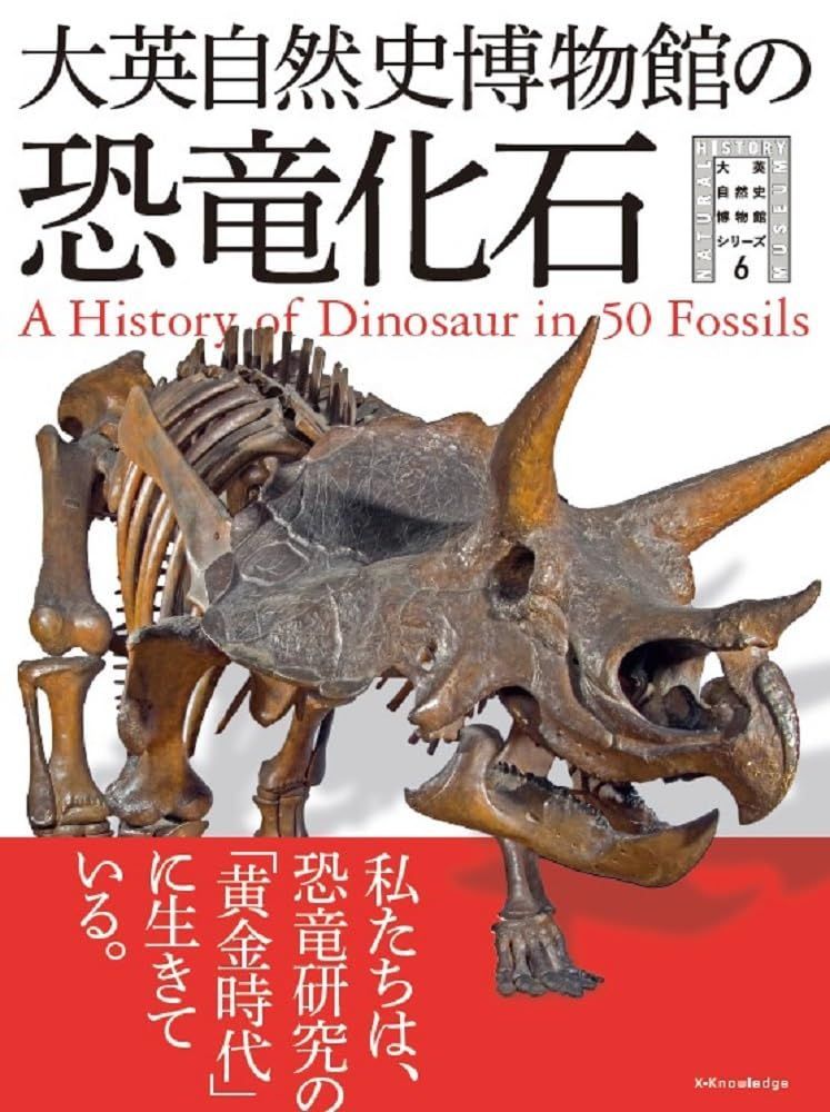 ゴルフ カミーチャスポルティーバ＋ 新品 赤ボタニカル柄 ハーフパンツ