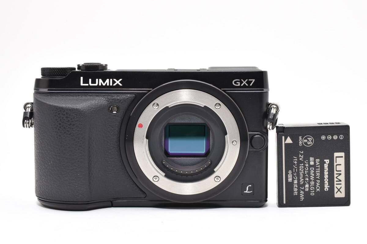 ☆美品☆ 《シャッター数 4665回》Panasonic パナソニック LUMIX DMC
