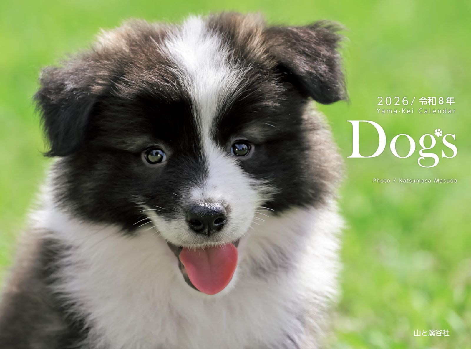 カレンダー2026 Dogs（月めくり/壁掛け/犬） (ヤマケイカレンダー2026)