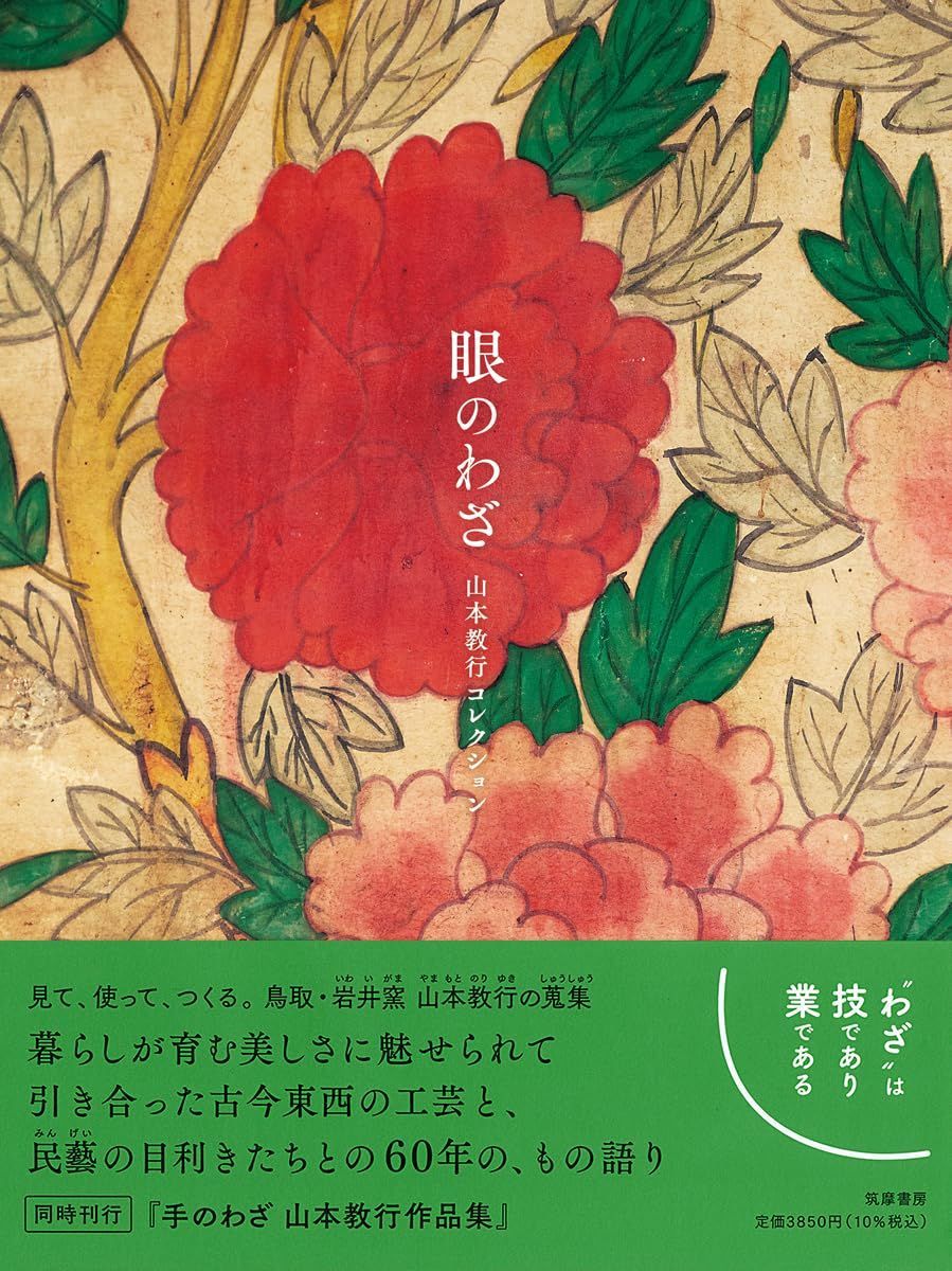 眼のわざ　山本教行コレクション (単行本)