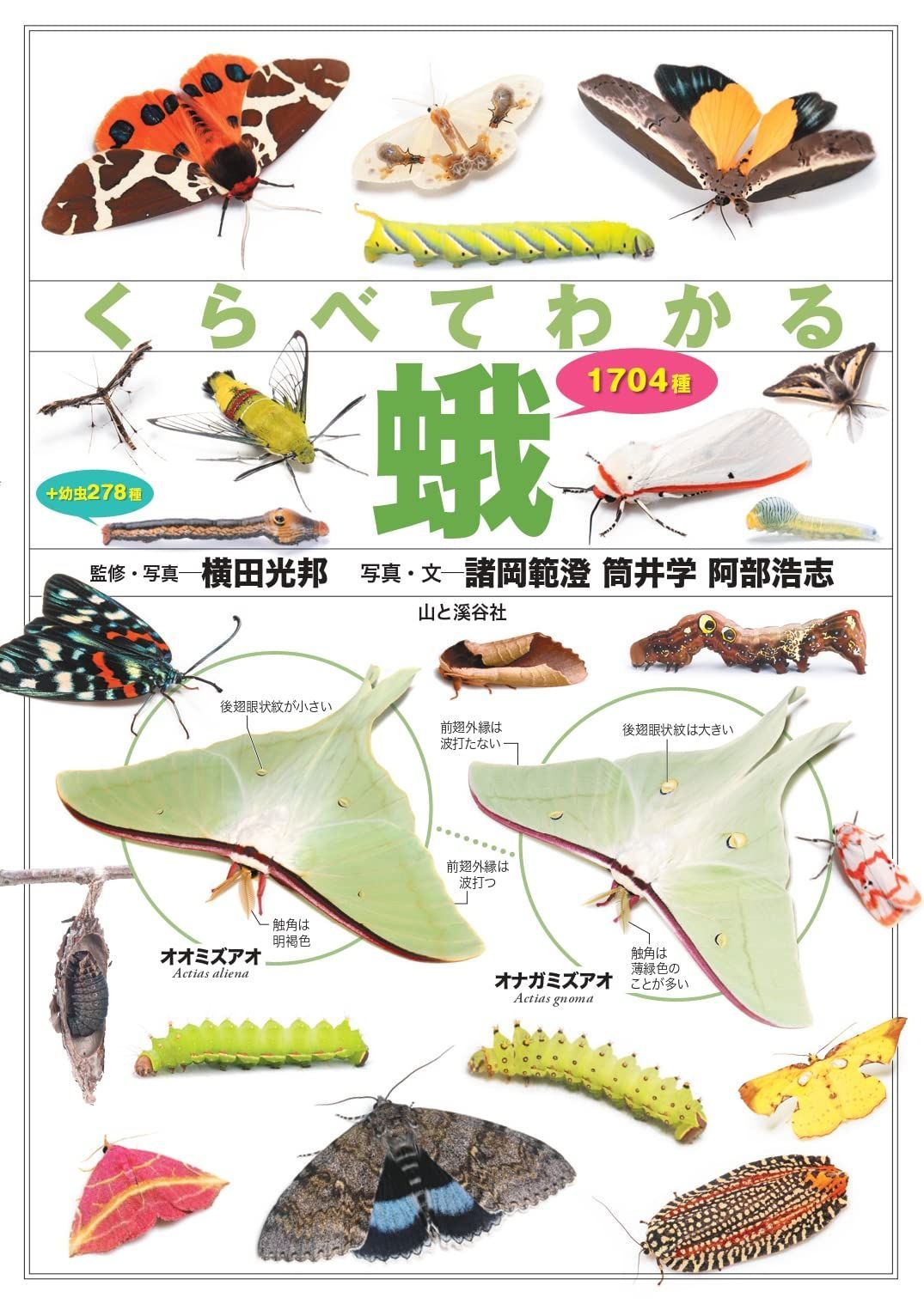 くらべてわかる蛾 1704種 (くらべてわかる図鑑) 9,230円