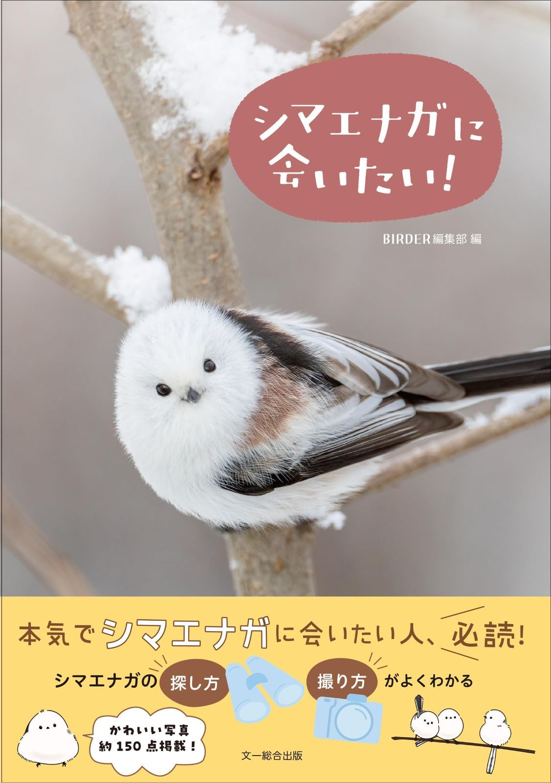 シマエナガに会いたい!
