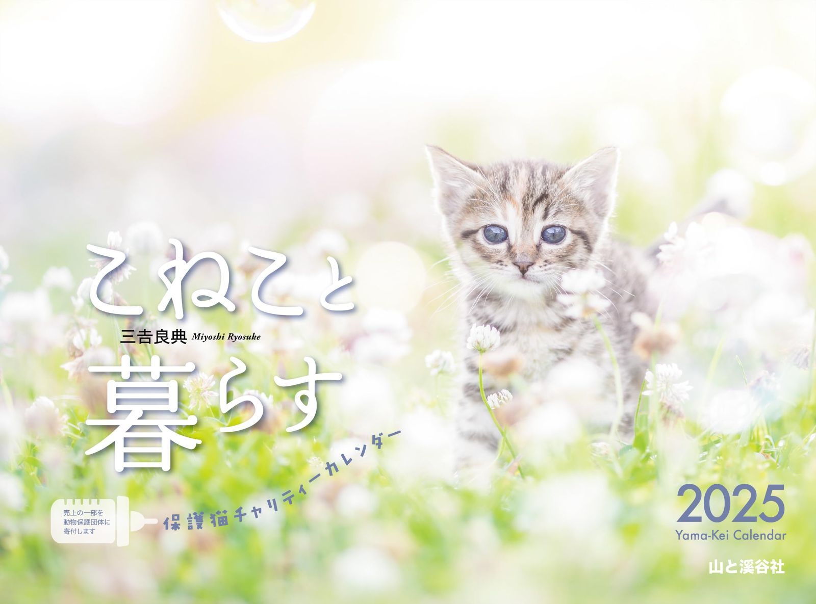カレンダー2025 こねこと暮らす 保護猫チャリティーカレンダー（月めくり/壁掛け） (ヤマケイカレンダー2025) 7,084円
