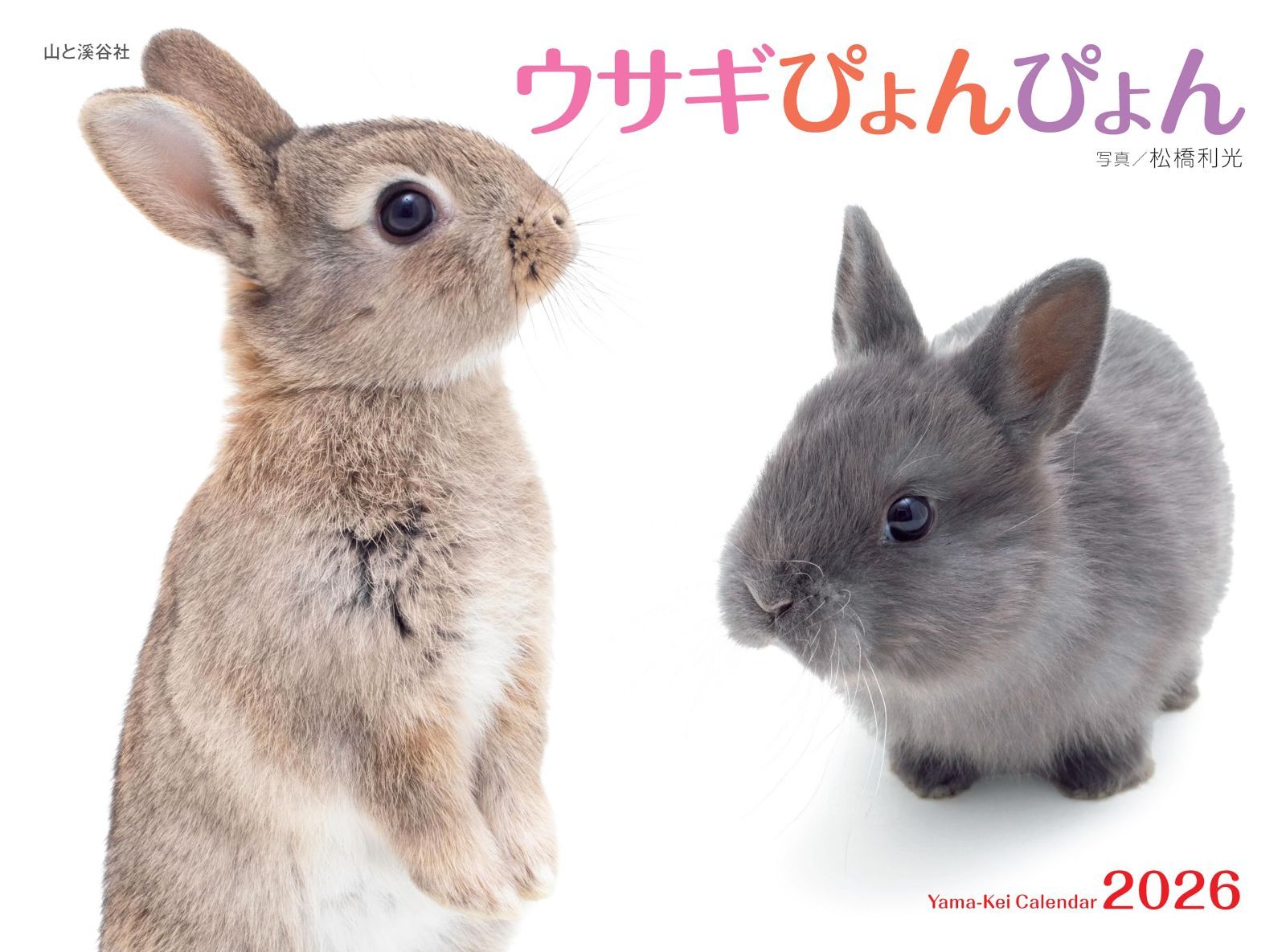カレンダー2026 ウサギぴょんぴょん（月めくり/壁掛け/動物） (ヤマケイカレンダー2026)