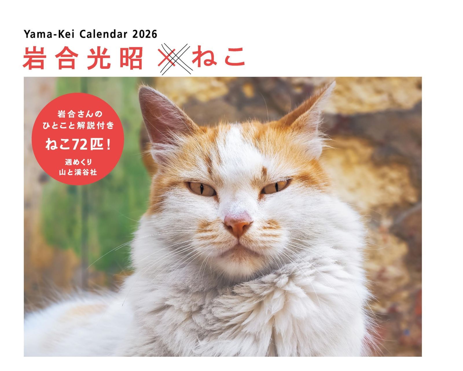 カレンダー2026 岩合光昭×ねこ（週めくり/卓上・リング/猫 子猫） (ヤマケイカレンダー2026)