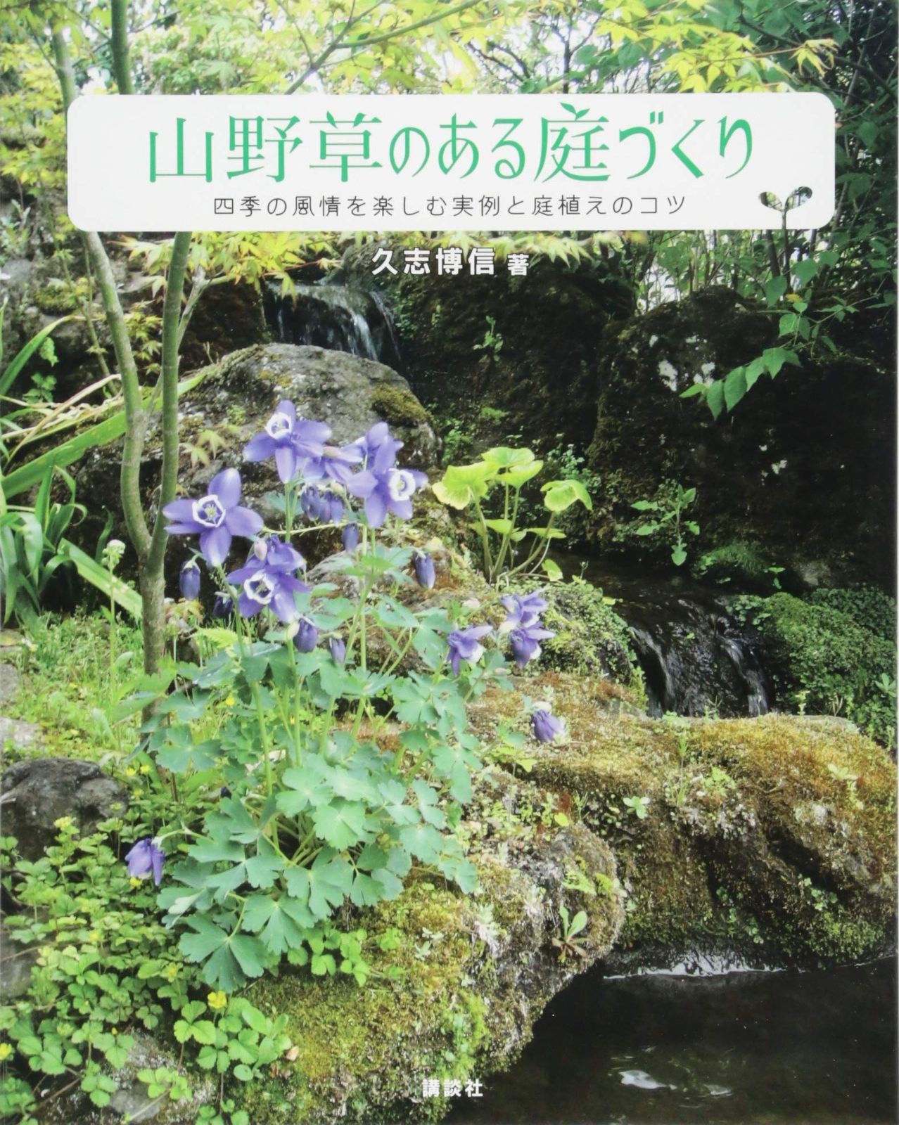 山野草のある庭づくり 四季の風情を楽しむ実例と庭植えのコツ