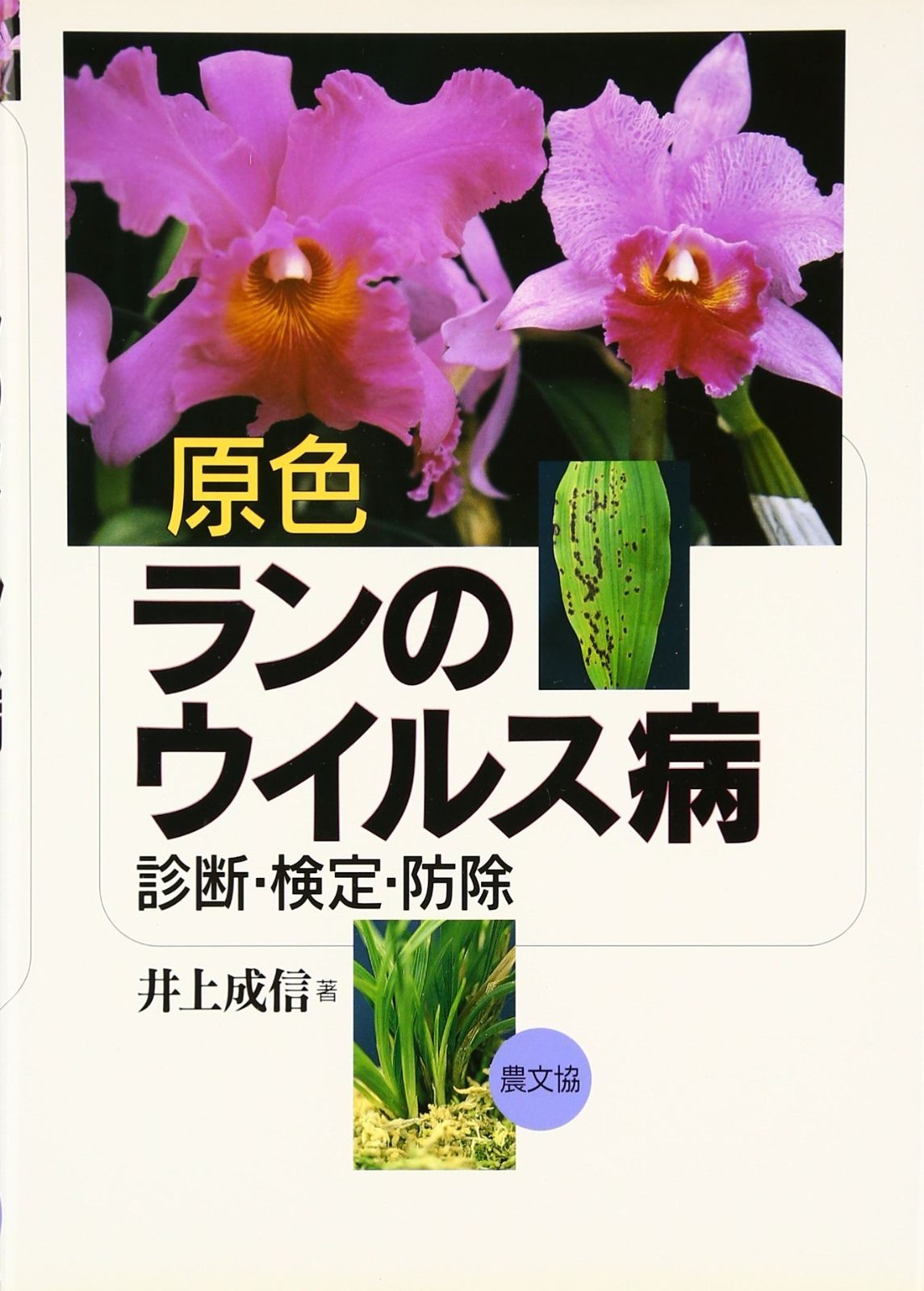 原色ランのウイルス病: 診断・検定・防除