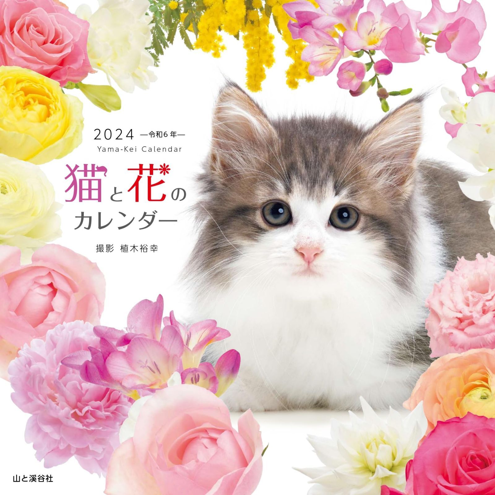 カレンダー2024 猫と花のカレンダー（月めくり/壁掛け） (ヤマケイカレンダー2024)