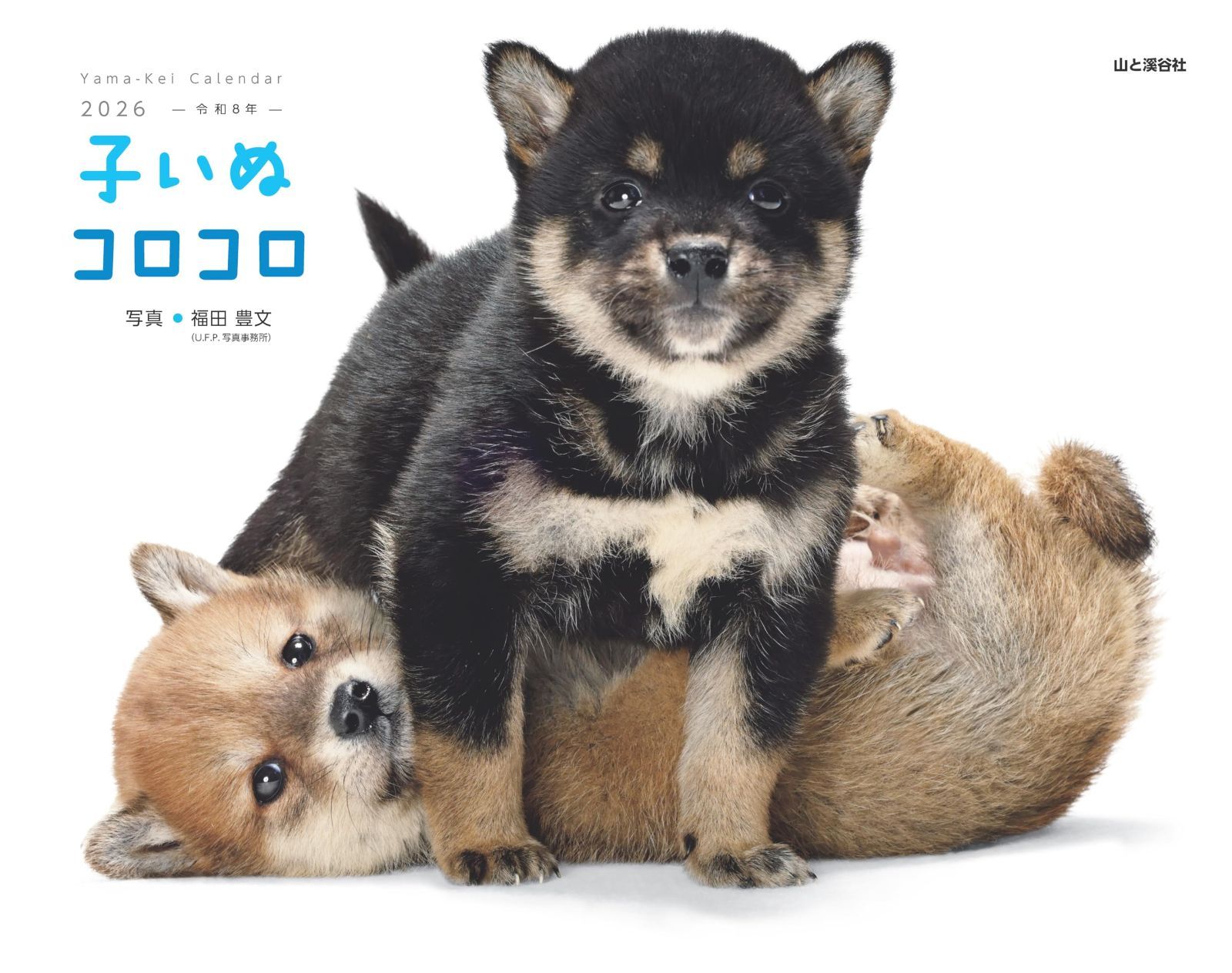 カレンダー2026 子いぬコロコロ（月めくり/壁掛け/犬 子犬） (ヤマケイカレンダー2026)