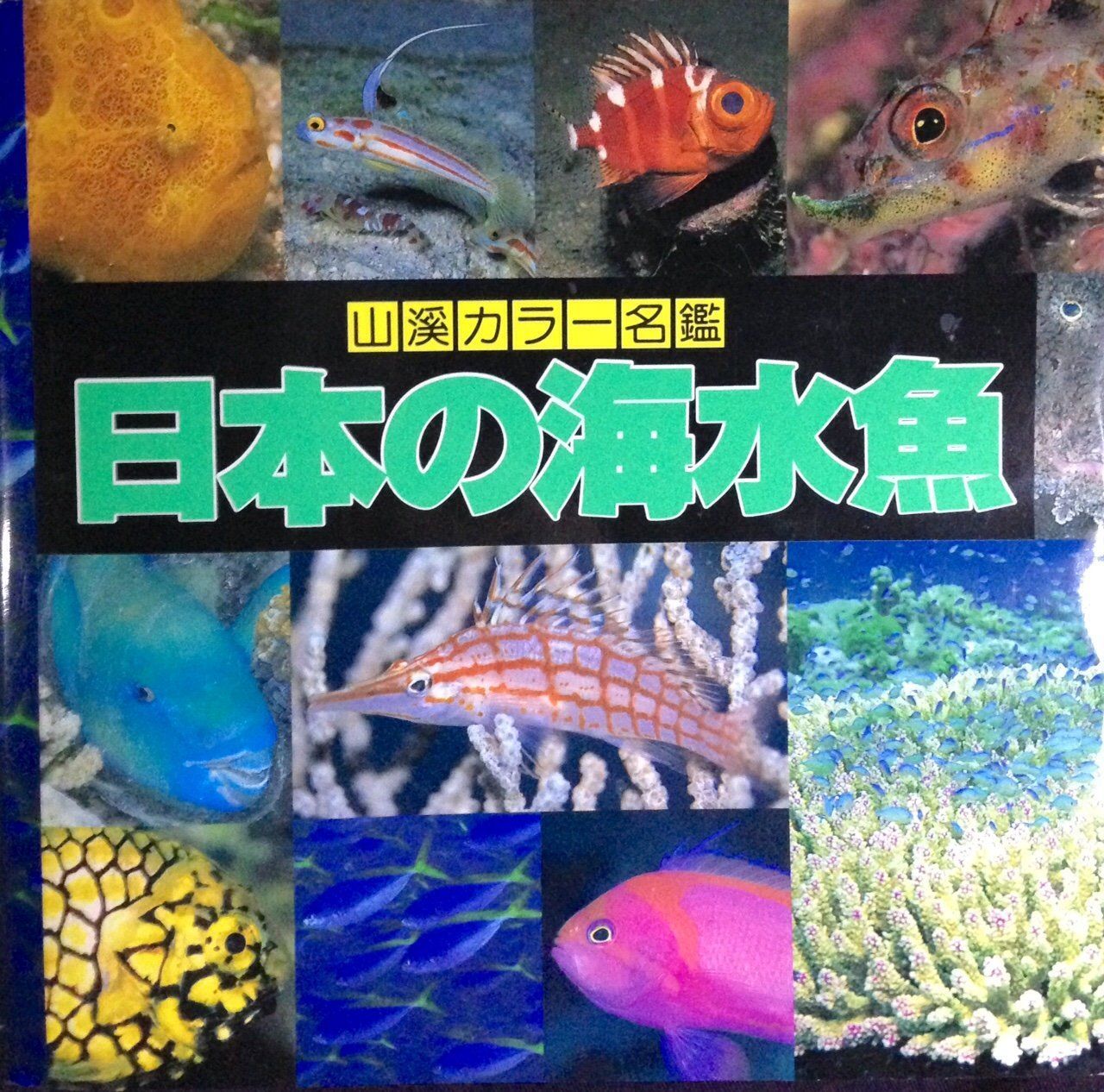 日本の海水魚 (山渓カラー名鑑)
