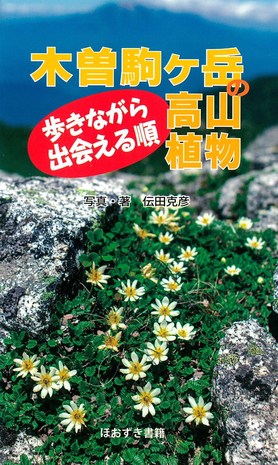 木曽駒ヶ岳の高山植物: 歩きながら出会える順
