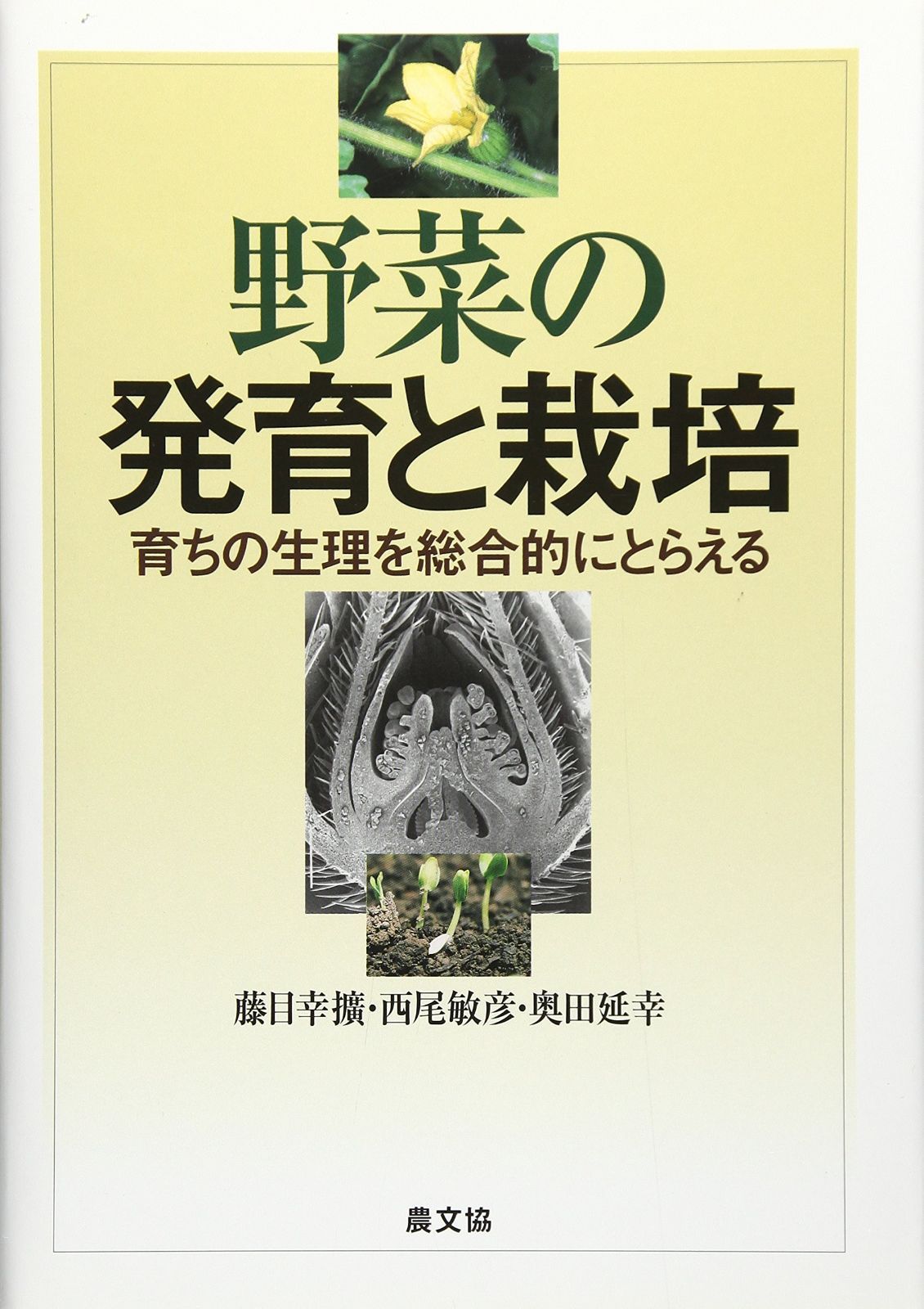 野菜の発育と栽培: 育ちの生理を総合的にとらえる