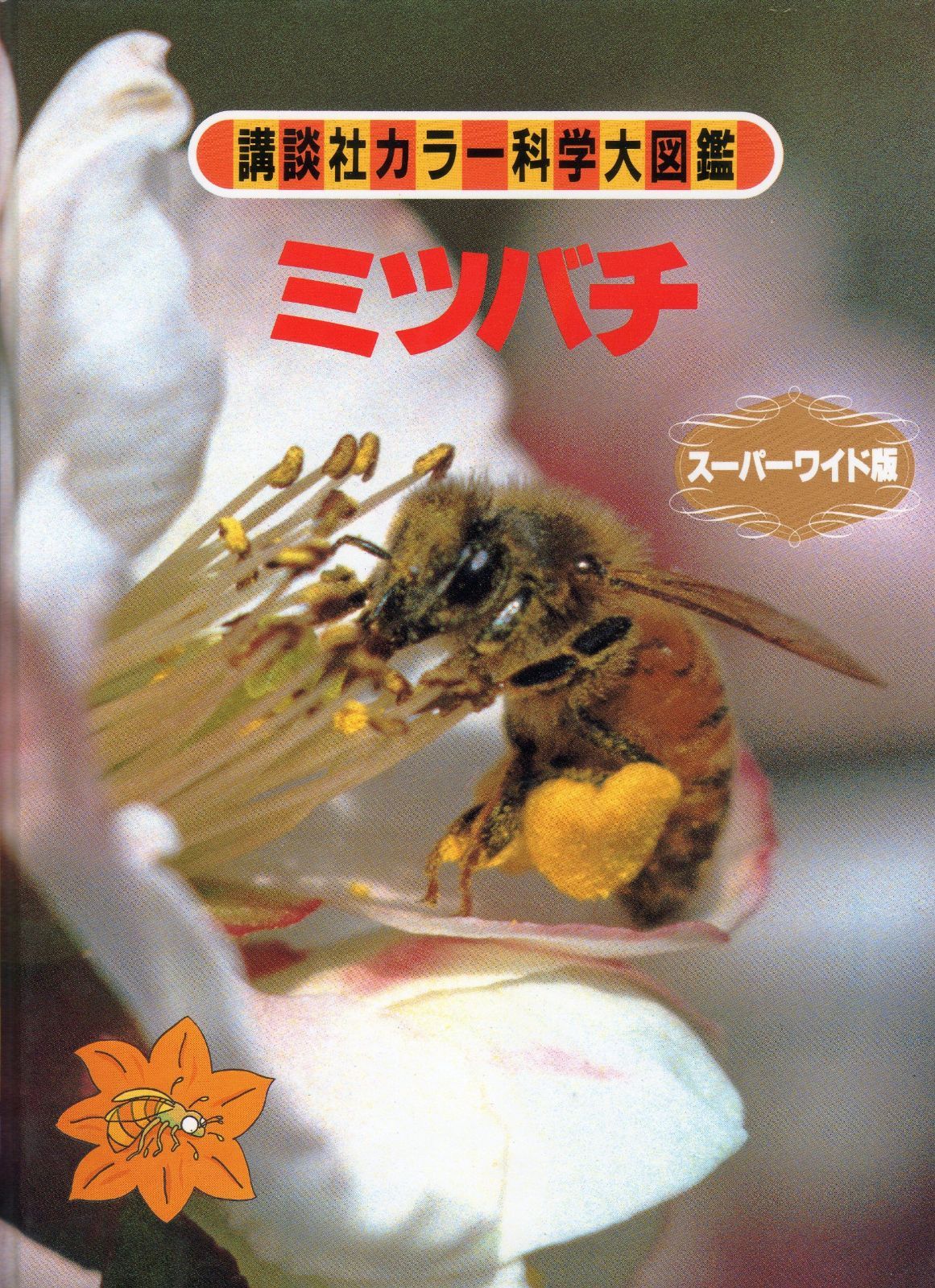 ミツバチ (講談社カラー科学大図鑑 スーパーワイド版) 5,992円