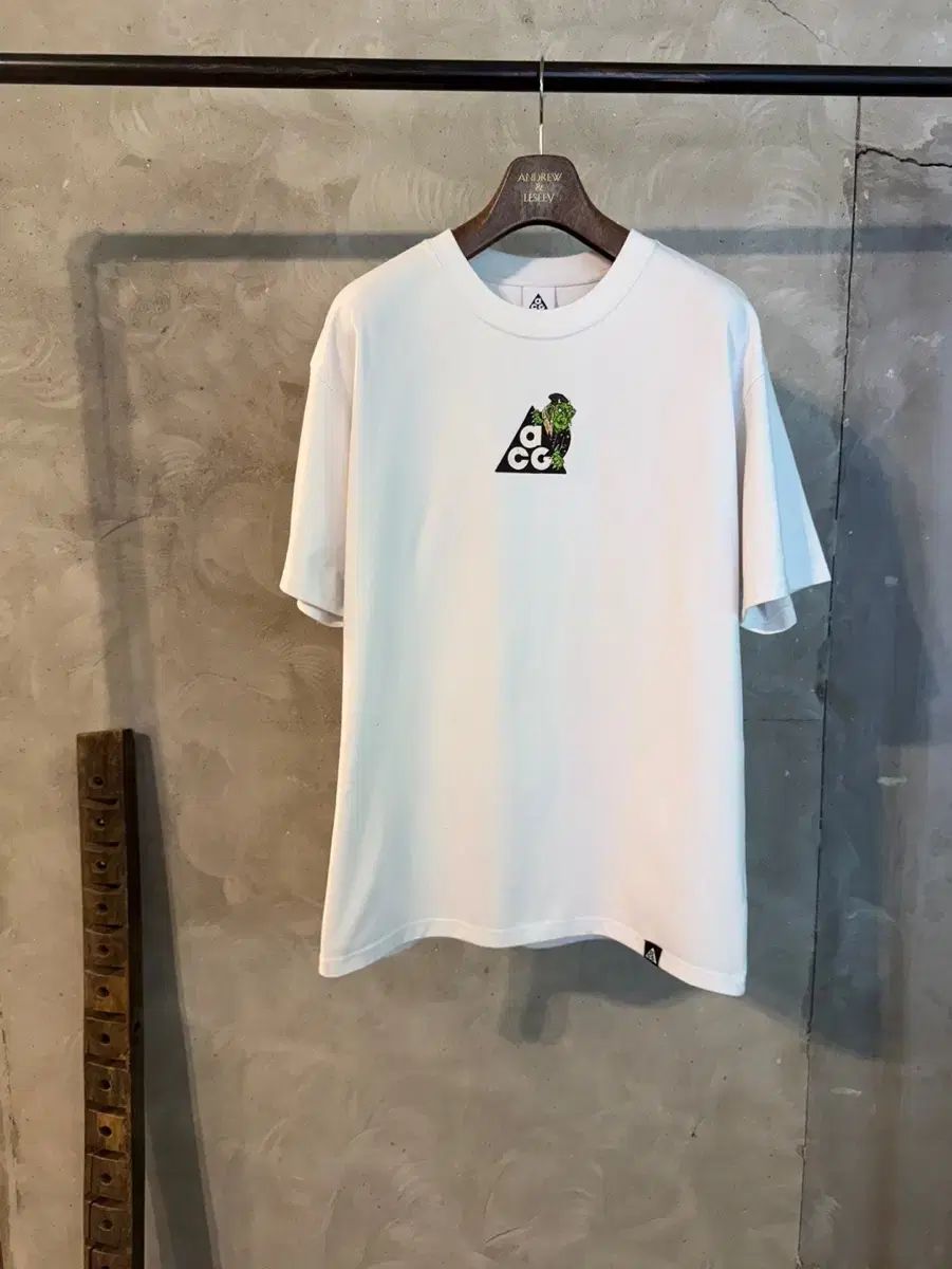 ナイキ ACG 半袖Tシャツ メンズ100
