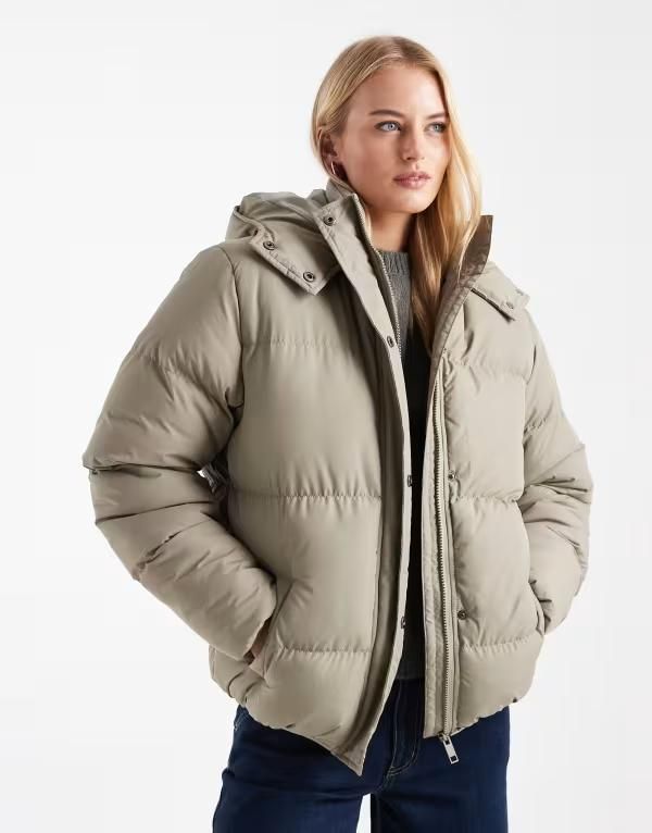 ブレーブソウル レディース アウター コートール クロップド ジャケット Brave Soul Tall hooded cropped puffer jacket in sage GREEN グリーン