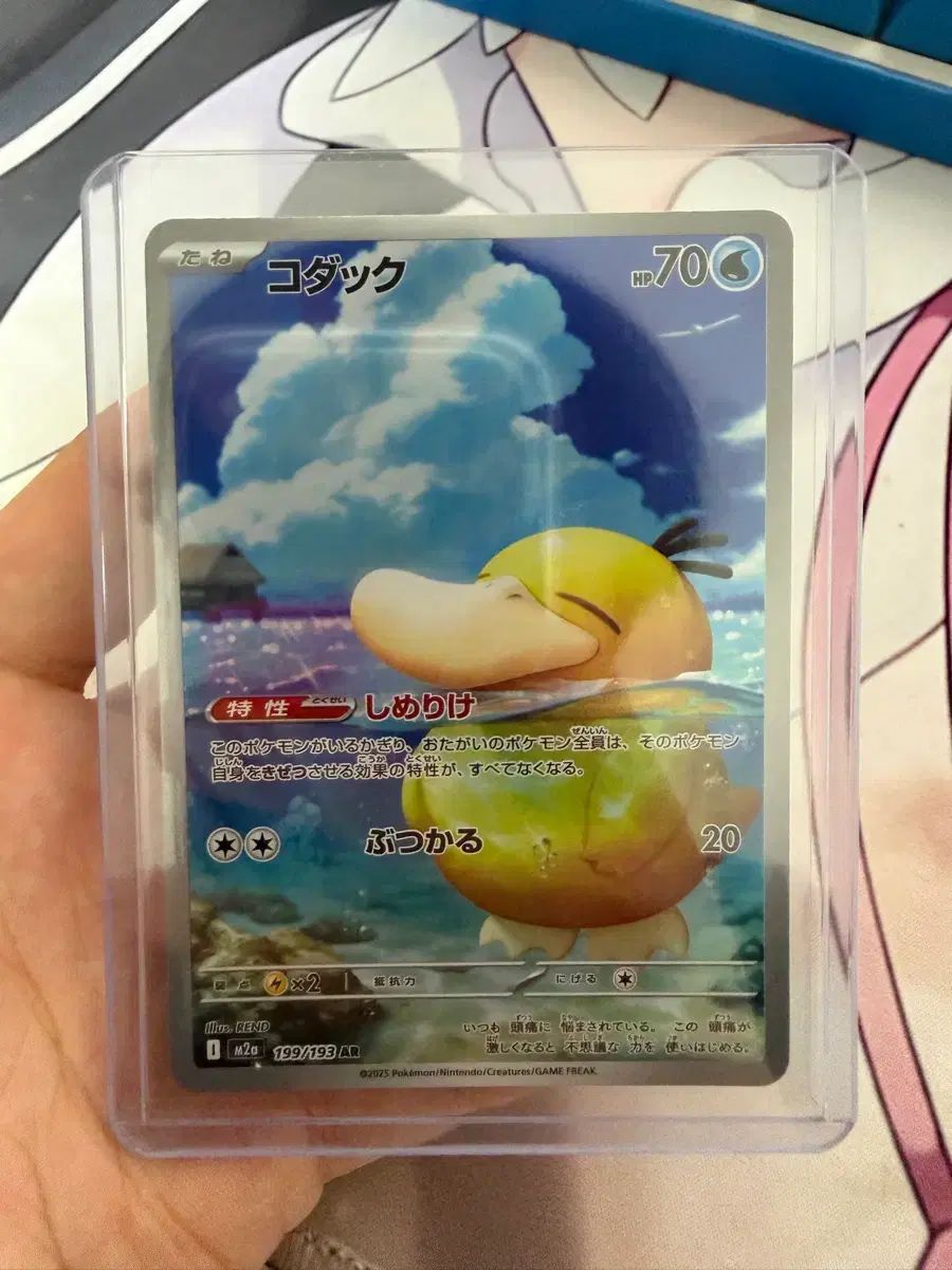 ゴーラパ덕 Rapha₍ラファ)