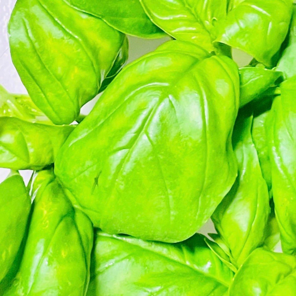 岩手県産フレッシュスィートバジル１kg 岩手県産フレッシュバジル1kg サカタのタネ 農薬不使用 - メルカリ