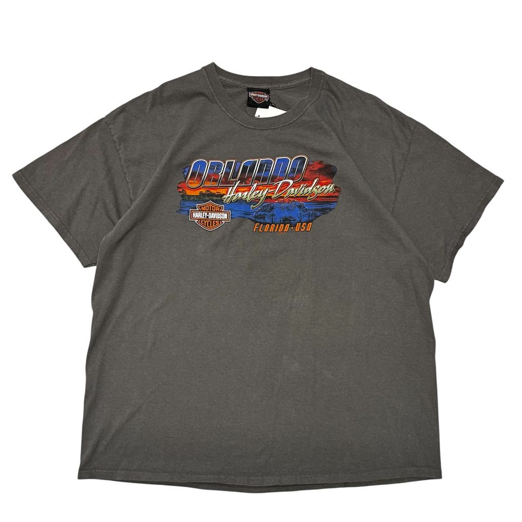 HARLEY DAVIDSON Orlando Florida ハーレーダビッドソン フロリダ州 オーランド 両面プリント Tシャツ グレー XLサイズ No.EA596 6,480円