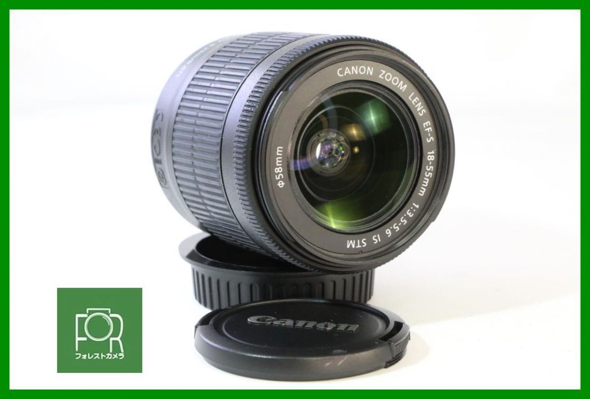 【動作保証・点検済】良品■Canon EF-S 18-55mm F3.5-5.6 IS STM 234204038099■前後キャップ付き■JJ236
