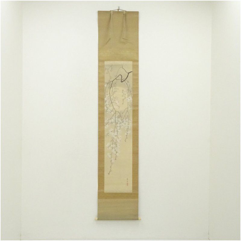 水野蕪青筆　朧月糸桜図　肉筆絹本掛軸（共箱） 掛け軸 床の間 書 おしゃれ 絵画 表具 芸術 茶道 年中掛け インテリア 茶掛 掛物 和室