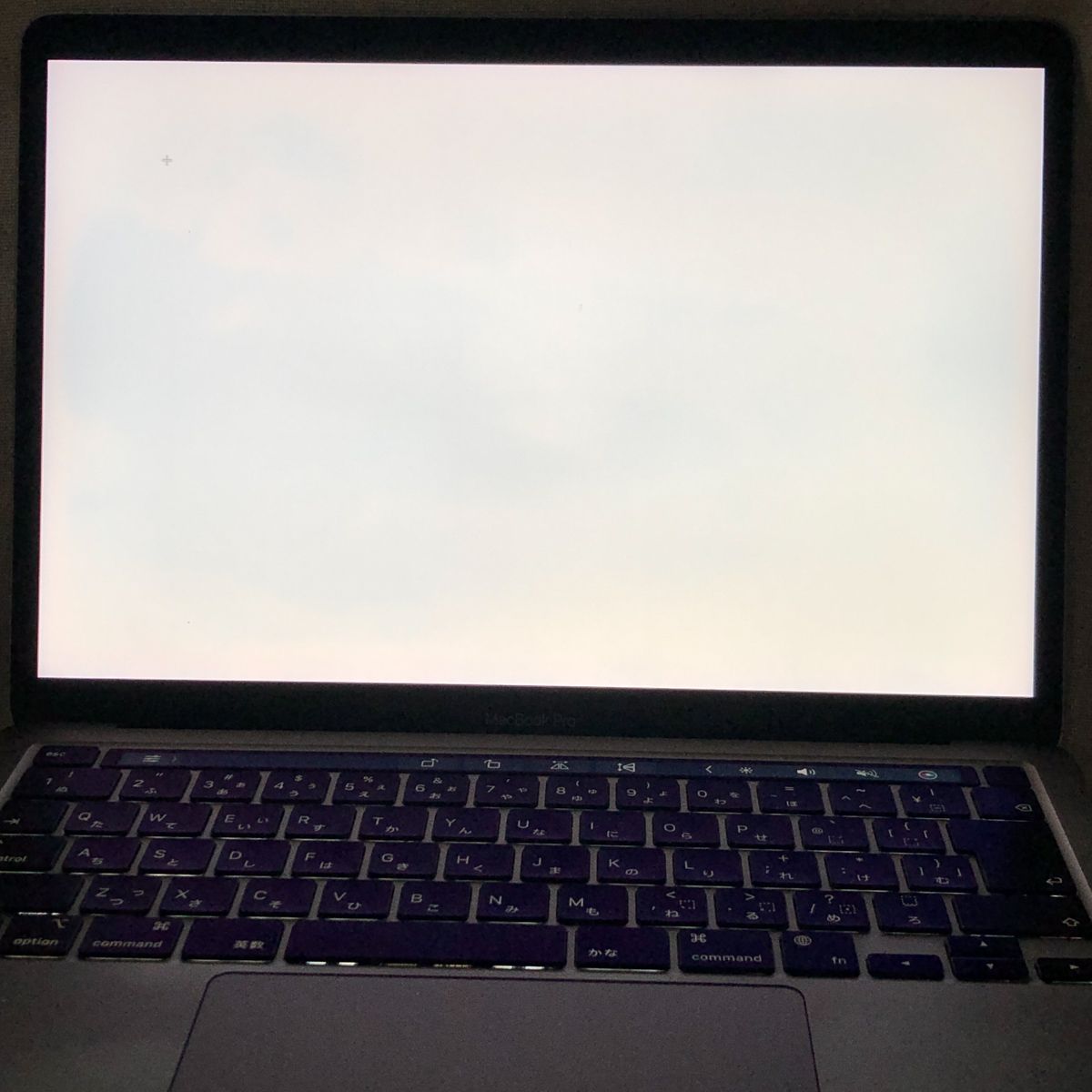 ◇ジャンク品・本体のみ◇Apple MacBook Pro (13インチ M1 2020)【M1