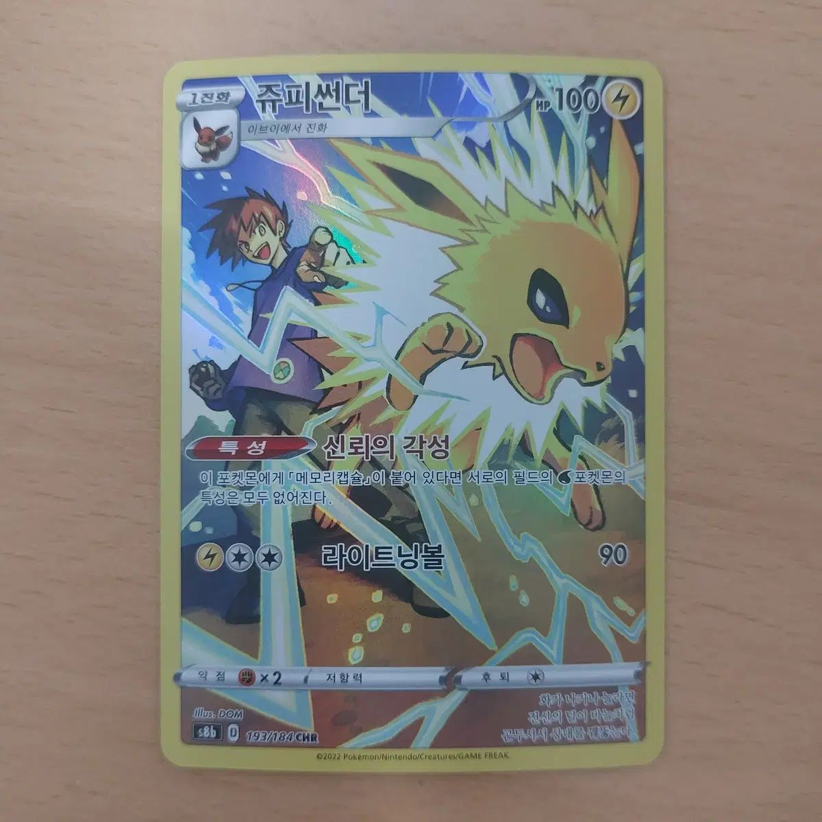 チャンピオンズフェスティバル | ポケモンカード - ポケモンカード