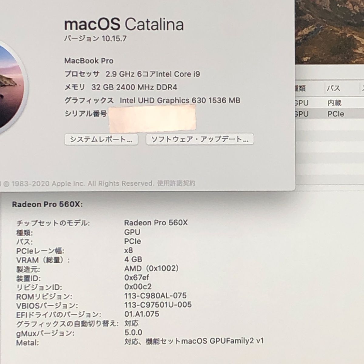 ジャンク MacBook Pro 15