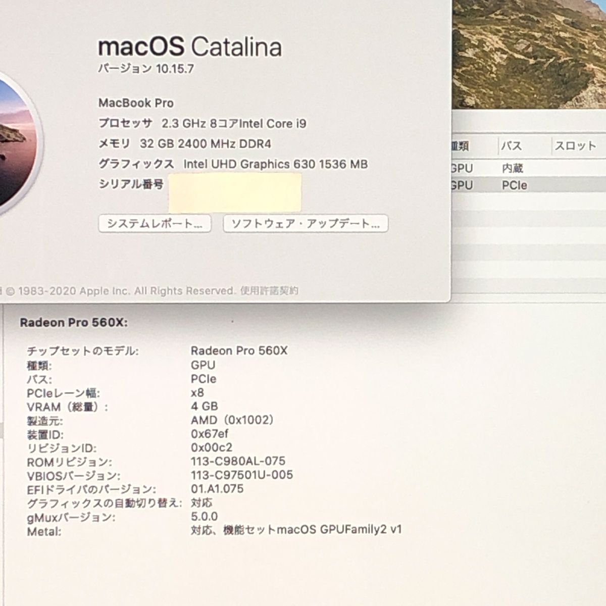 ジャンク Apple MacBook Pro 15