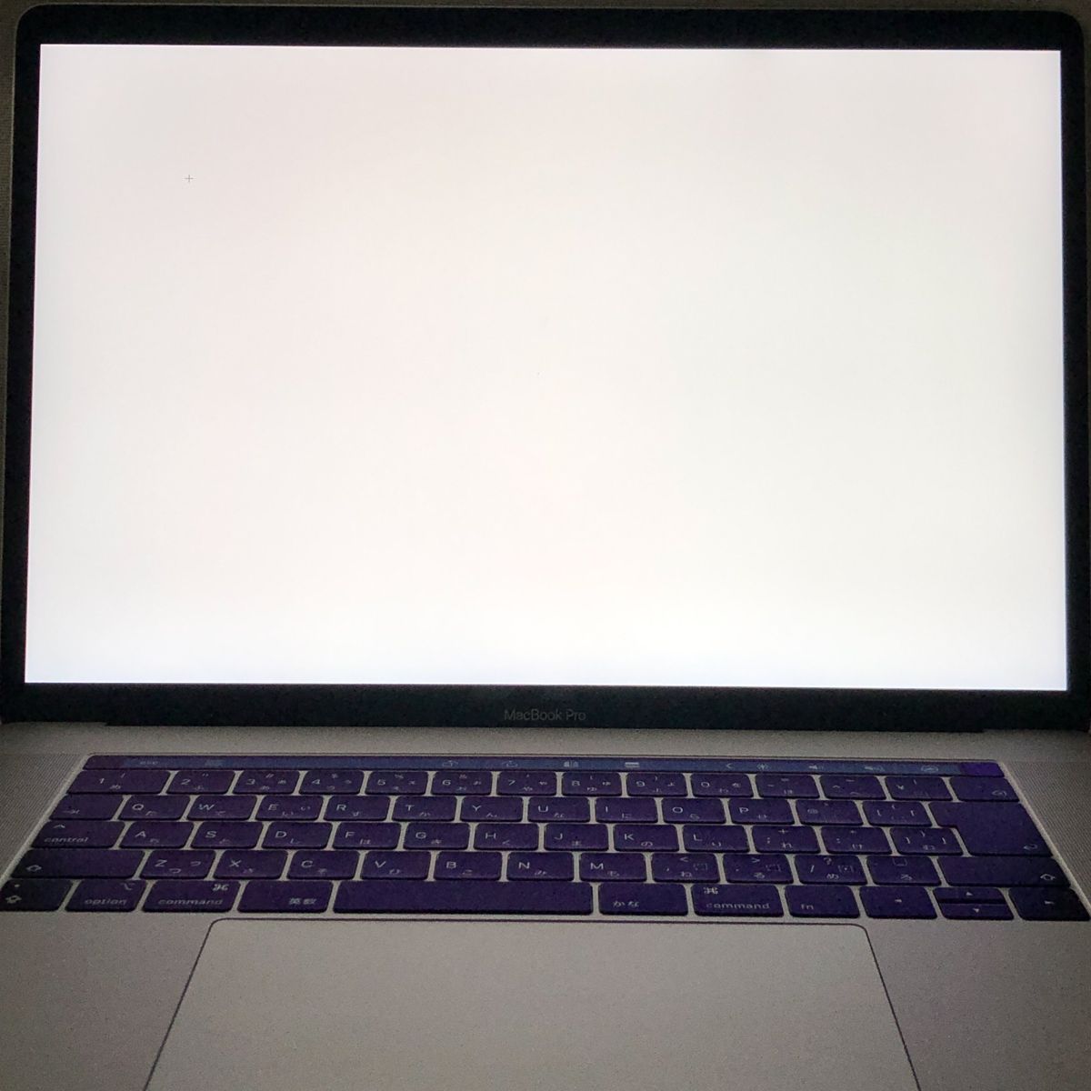 ジャンク Apple MacBook Pro 15