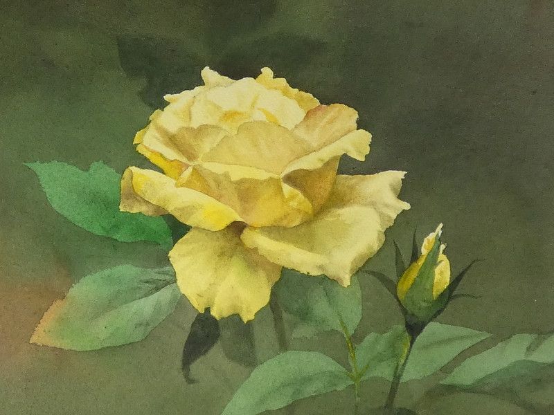 藤井勉「幸の色」薔薇 P5号 水彩画 真筆保証品 R(W)