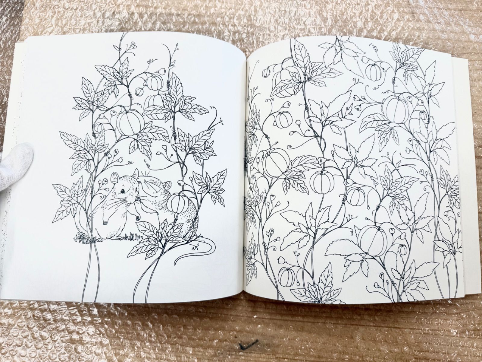 わたしの塗り絵BOOK 憧れのお店屋さん 森のどうぶつたち 自律神経を