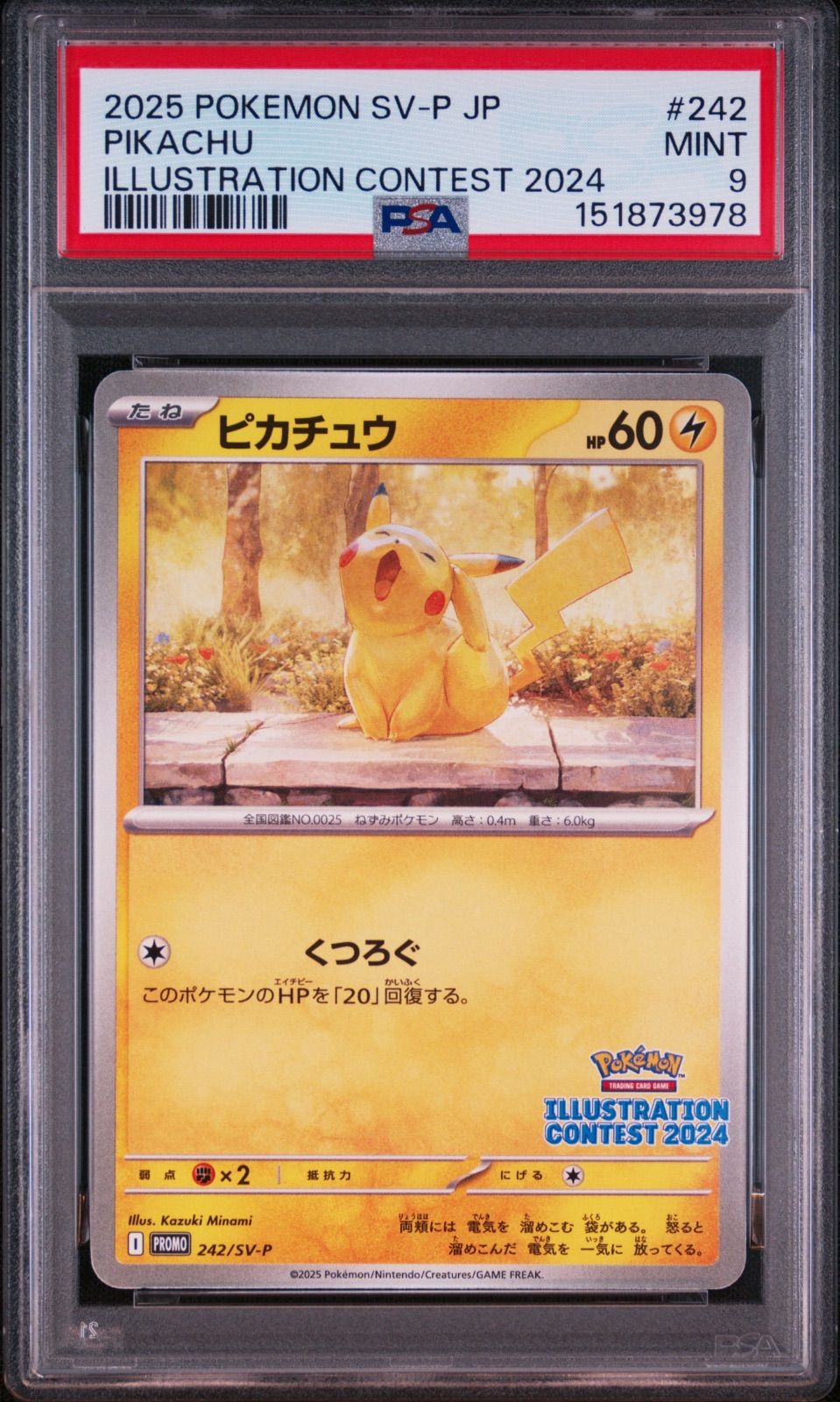 PSA9 ピカチュウ イラストレーションコンテスト2024 プロモ 242/sv-p