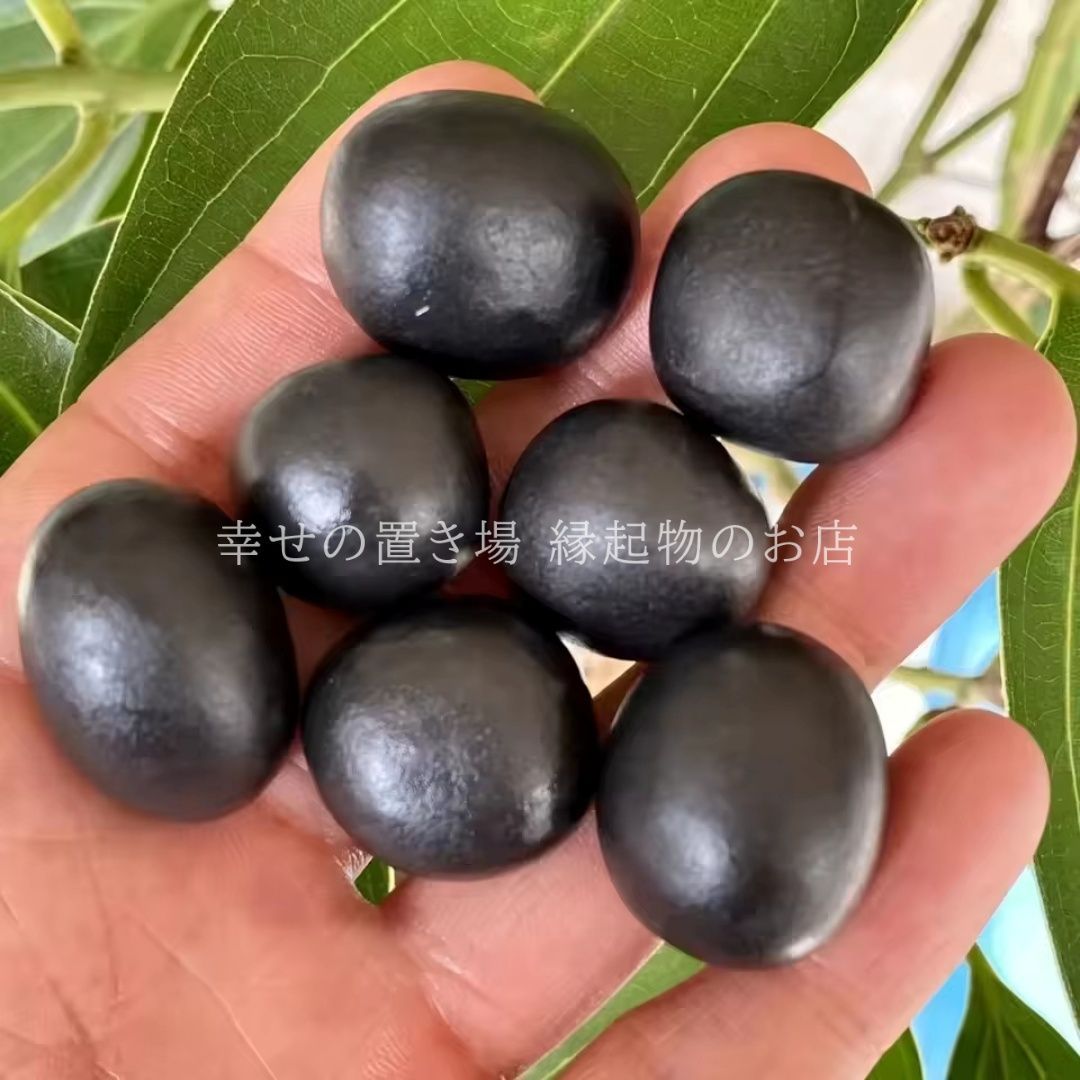 置物 シュンガイト オブジェ 天然石 天然 クリスタル 瑪瑙 100g 50g