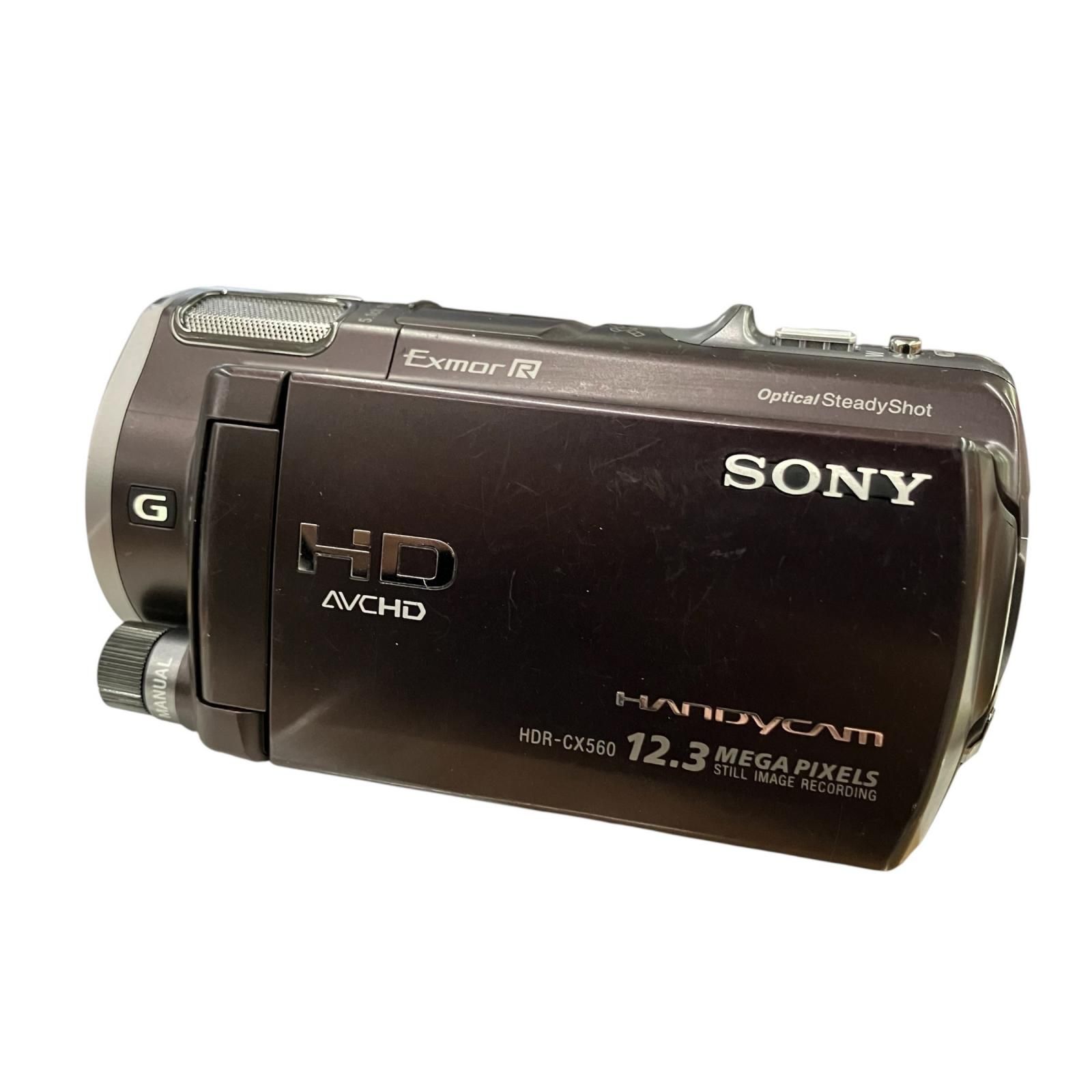 199990 動作未確認 SONY ソニー ビデオカメラ HDR-CX560V ボルドー