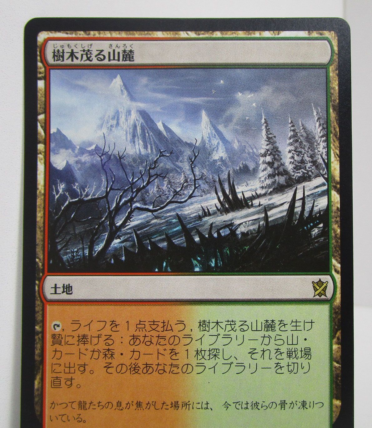mtg 樹木茂る山麓 日本語3枚セット サインド , 公式通販