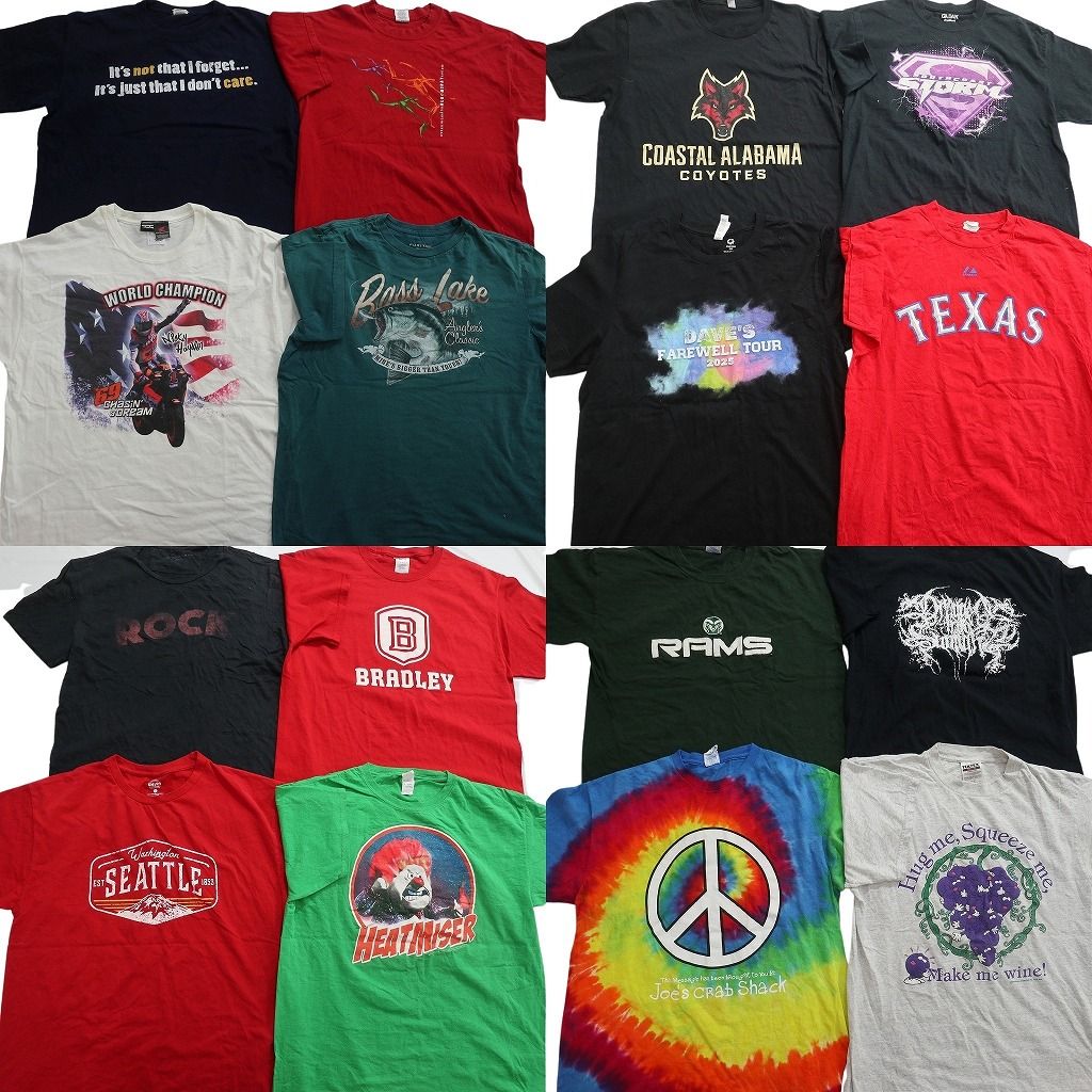 古着卸 まとめ売り プリント Tシャツ 16枚セット ( メンズ L ) タイダイ柄 アーチロゴ プロチーム MLB アニマル 中古 古着 NF6199