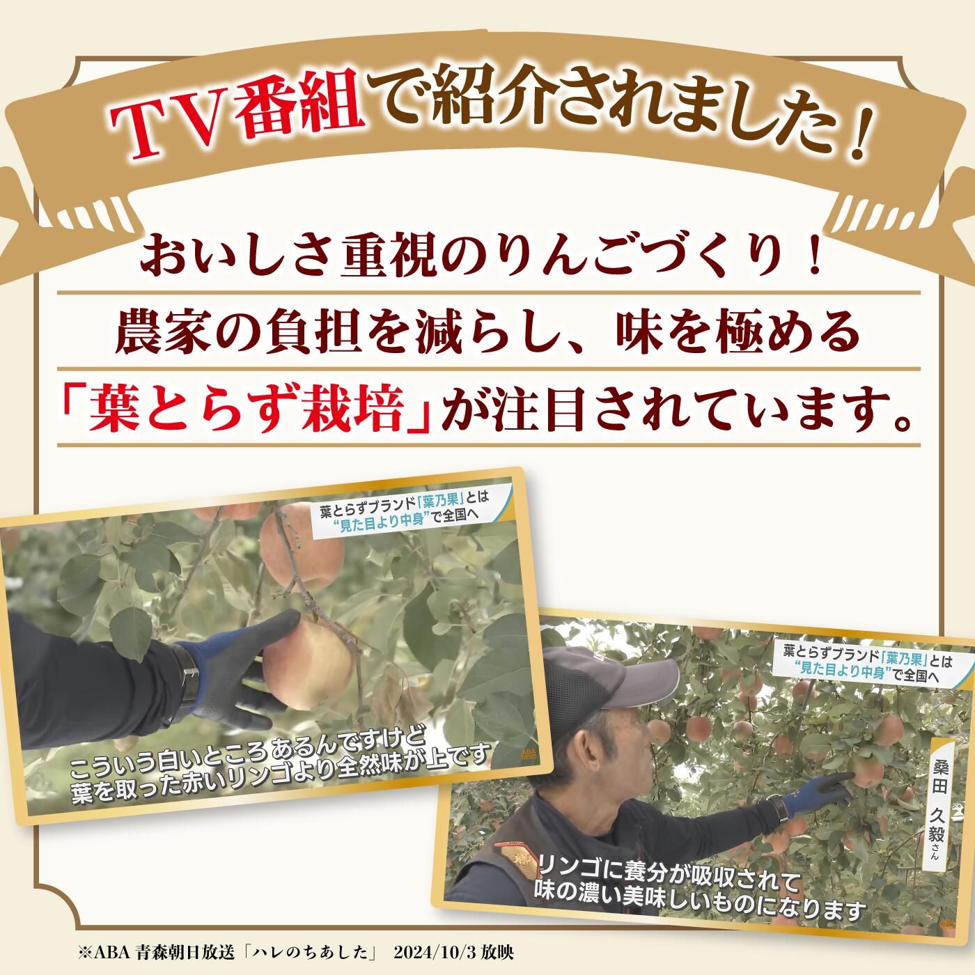 贈答用 青森県産 りんご シナノゴールド/葉とらずふじ 3kg - メルカリ
