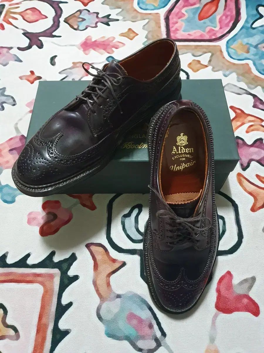 ALDEN 975 シェル コードバン 8D (ボックス含む)