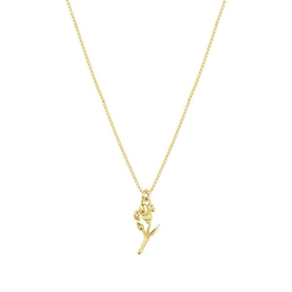 セットアンドストーンズ レディース アクセサリー ネックレス・チョーカー レース Set Stones Elsie Birth Flower Necklace Gold February ゴールド