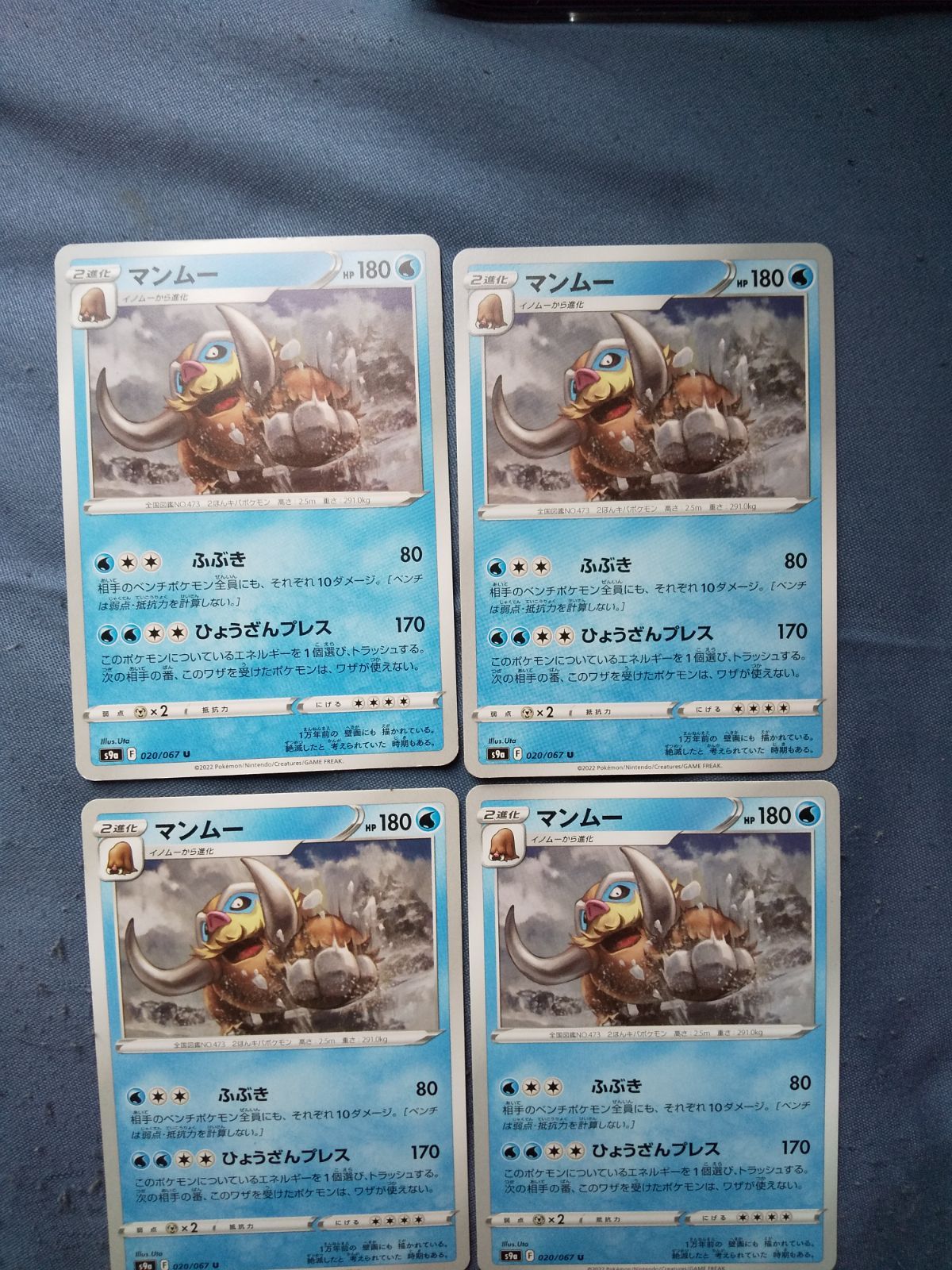 pokemon card mamoswine 2008 11th Movie Commemoration 006/009 Holo CGC PRISTINE 10 7 Bucks a Pop If heads pokemon:mamoswine - Card Search