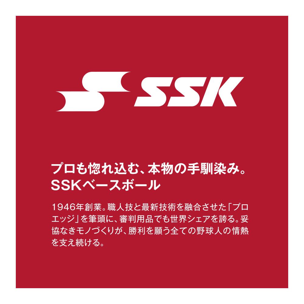 【新品】 SSK 野球 ピッチャープレート 二段式 埋め込み 固定 設置 アングル 金具 四面 プレート用 板アングル 設備 耐久性 ジュニア 高校生 高校野球 グラウンド グランド クラブチーム エスエスケイ 四面Pプレート用二段式アングル ypa902