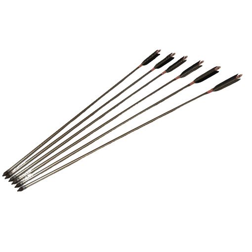 EASTON XX75 1913 弓道 矢 97cm 6本セット ケース付き 中古 M11430683