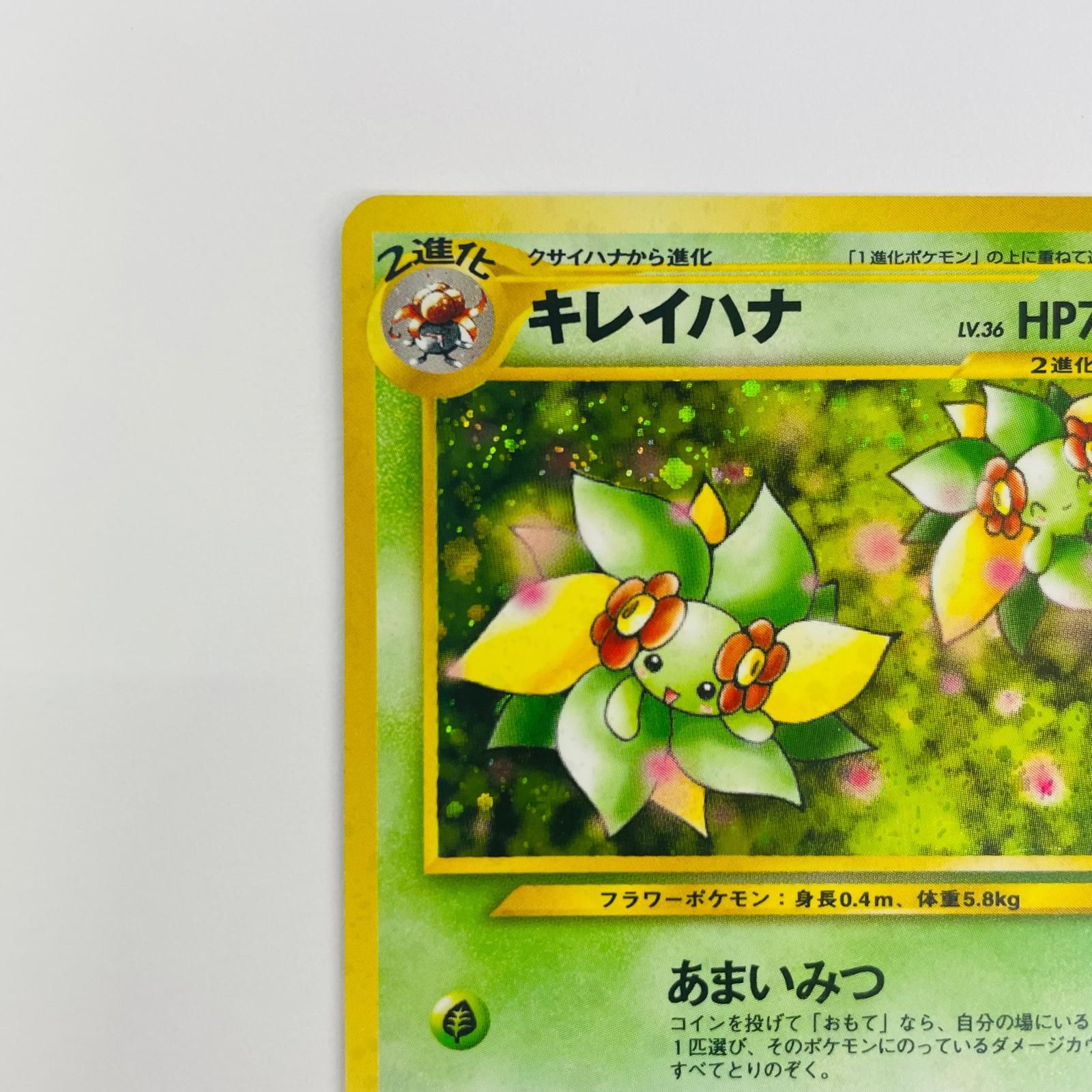 飾磨店】 中古 キレイハナLV.36 旧裏 - メルカリ