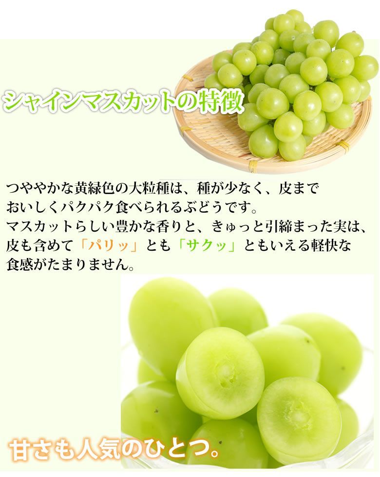 シャインマスカット 2kg 九州産 ぶどう 送料無料 - メルカリ