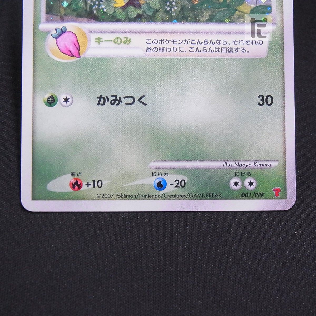 ナエトル LV.9 001/PPP / TA25056 - メルカリ