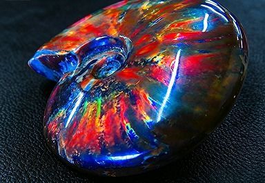 【新品】 天然石（原石） 数万個の中の一個★天然マダガスカル産 ★ 両面オパールアンモナイト 化石標本超巨大266ｇ★110ｍｍ 26100174